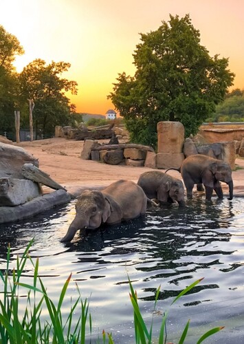 Zoo Praha