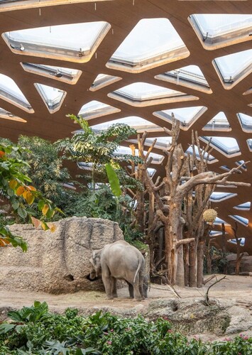 Zoo Zürich