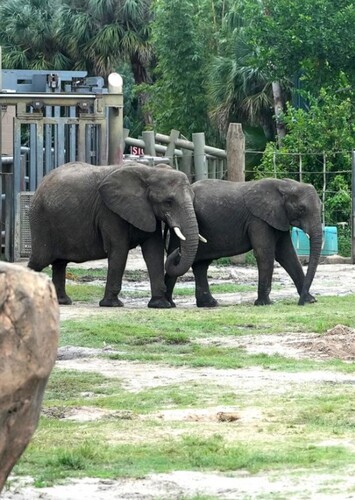 ZooTampa at Lowry Park