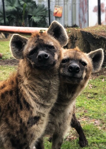 ZooWorld