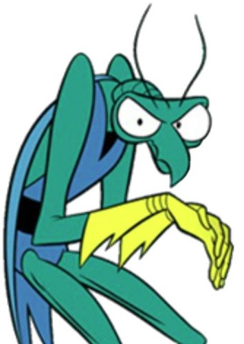 Zorak
