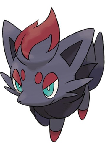 Zorua