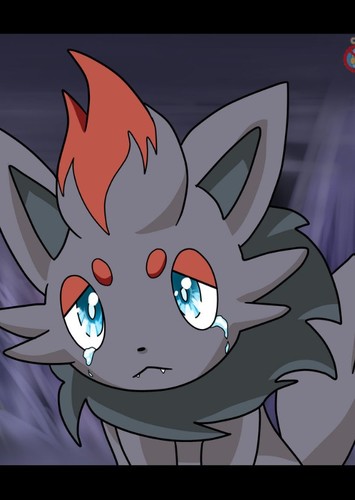 Zorua (Japanese Dub)