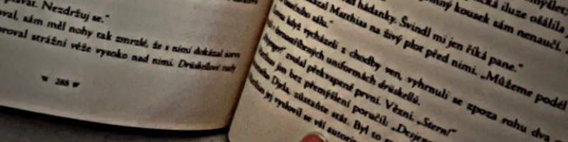 sychrjul1's banner