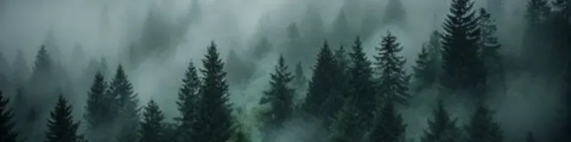 Vamprince's banner