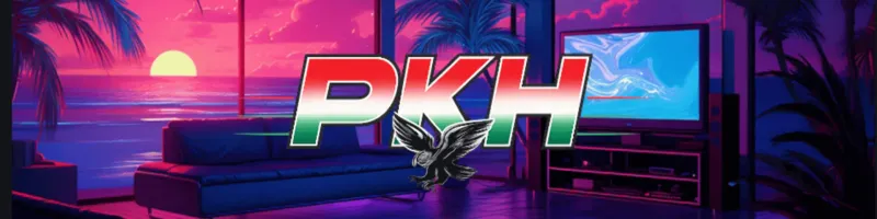 petikishhun's banner