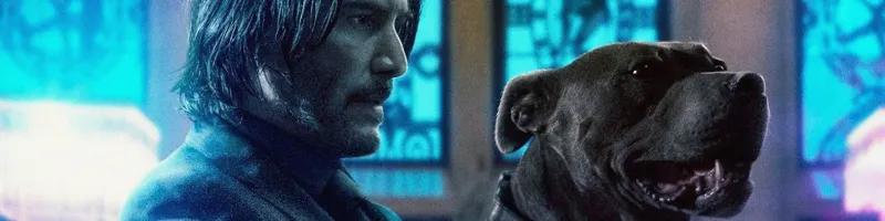 alexanderk99's banner
