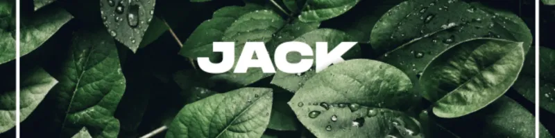 Jack O'Reilly's banner