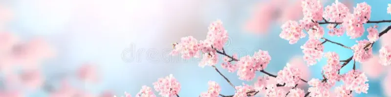CamilaCabello97's banner