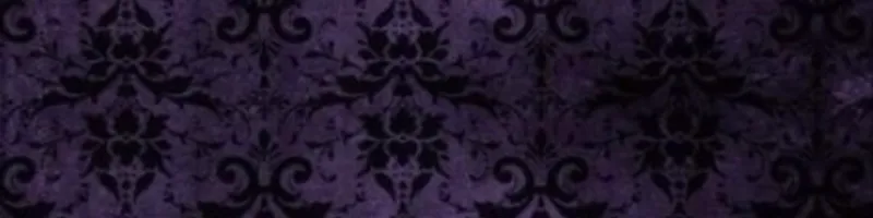 whimsical's banner