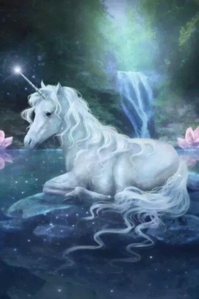 Unicorn