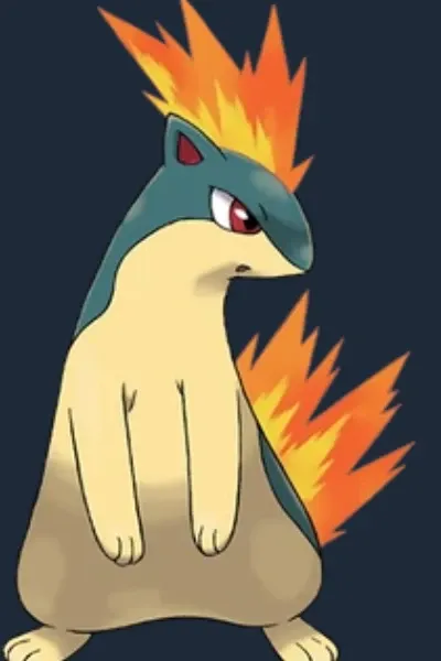 Shadow's Quilava