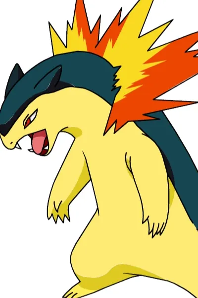 Shadow's Typhlosion