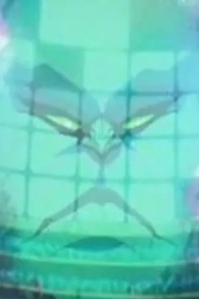 The Supreme Intelligence