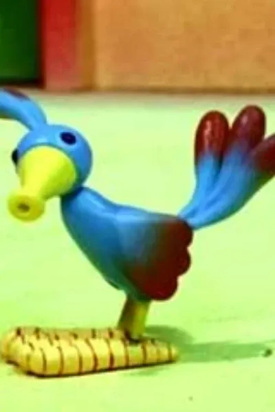 Bird