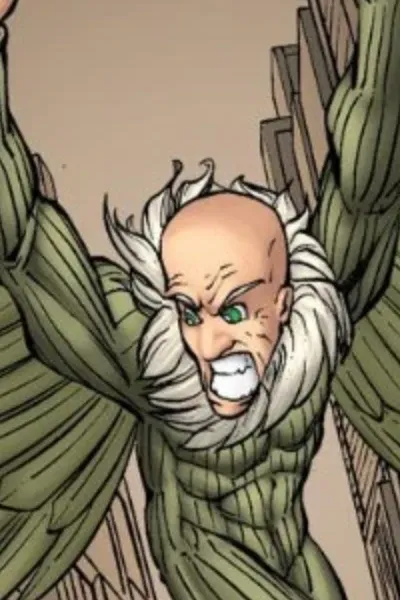 The Vulture