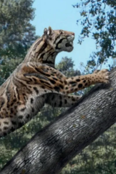 Promegantereon