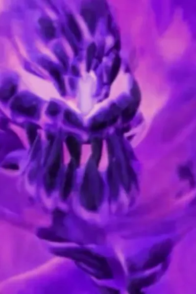 Flame the Fire Virus Elemental