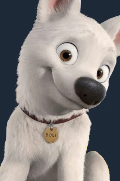 Bolt