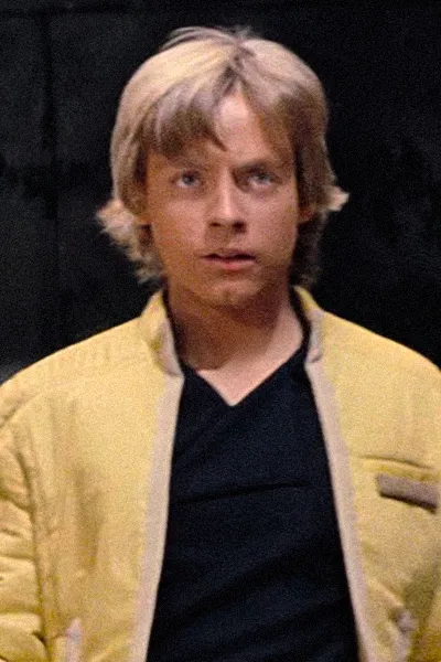 Luke Skywalker (Holiday Special appearance)