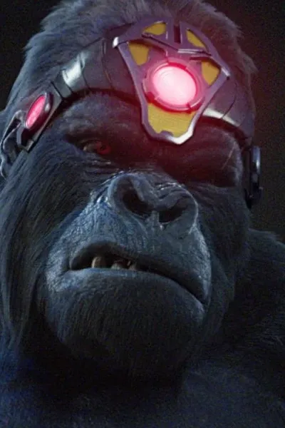 Grodd