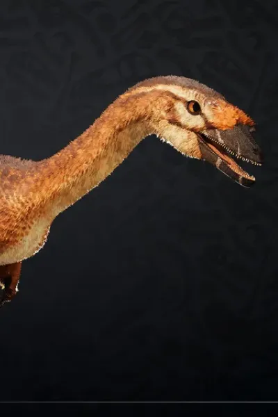 Coelophysis