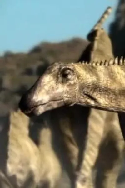 Diplodocus