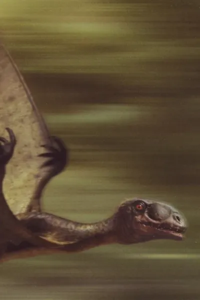 Anurognathus
