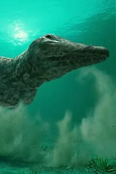 Ambulocetus