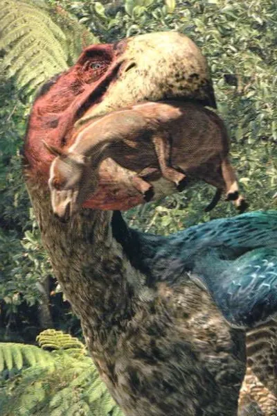 Gastornis