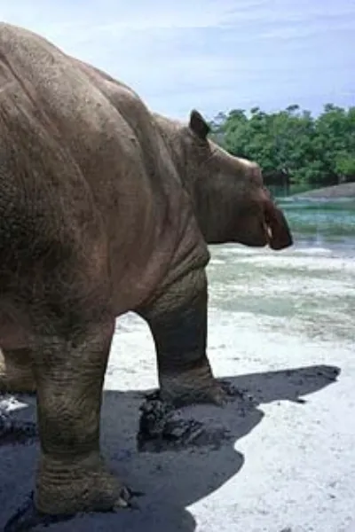 Moeritherium