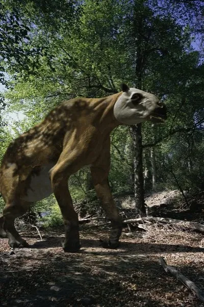 Chalicotherium