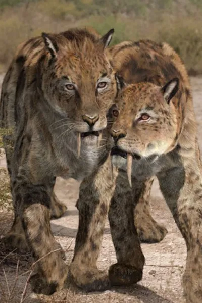 Smilodon