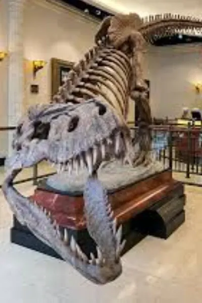 Rexy