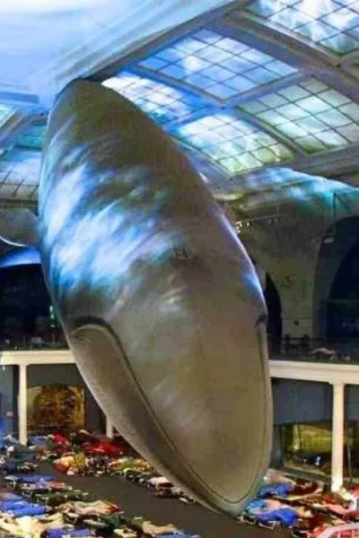 Blue Whale