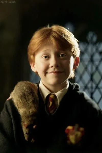 Ron Weasley (1-3)
