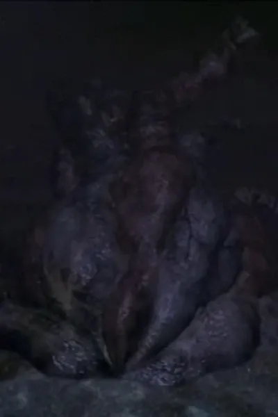Godzilla doesn't really die