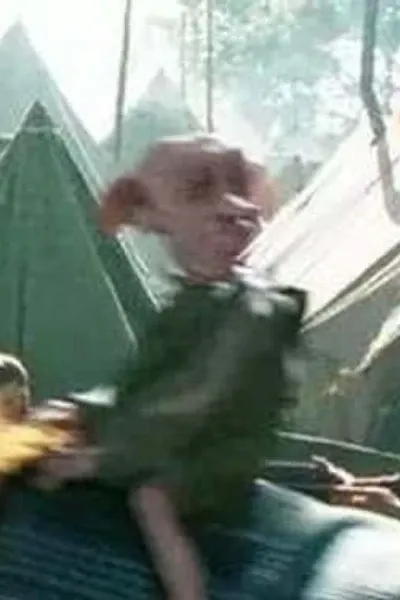 House Elf #2