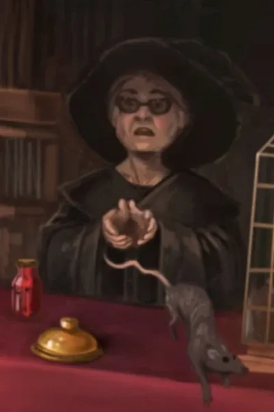 Magical Menagerie Witch