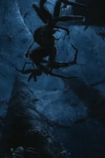 Spider #1