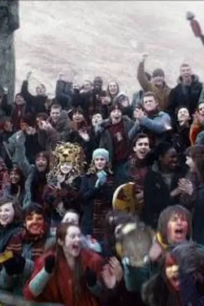 Quidditch Spectator Student #1