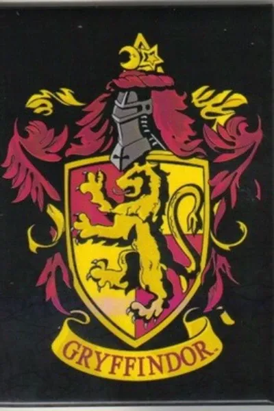 Gryffindor Fifth Year
