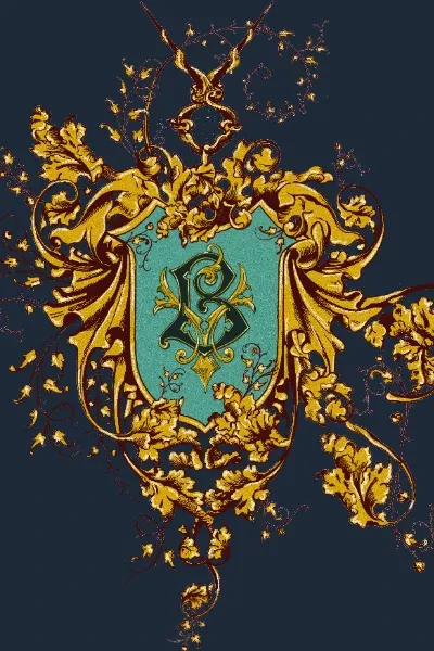 Beauxbatons Student