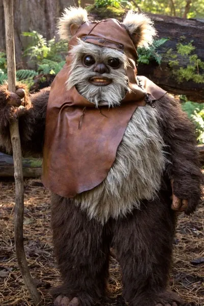 Wicket