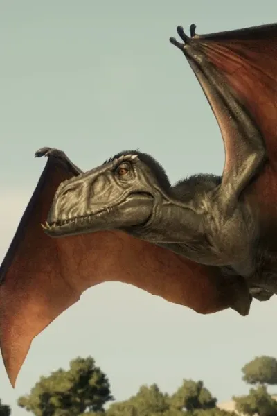 Dimorphodons