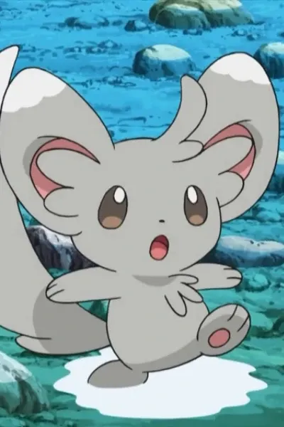 Minccino