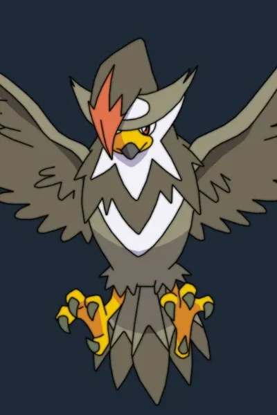 Bidoof photo 2