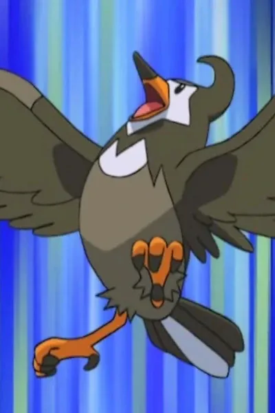 Bidoof photo 3