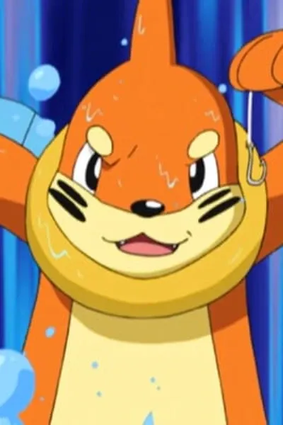 Buizel
