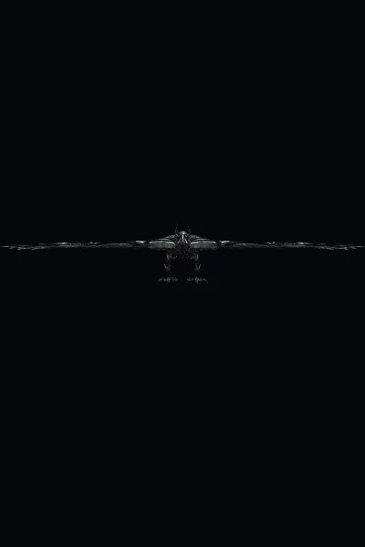 Laserbeak